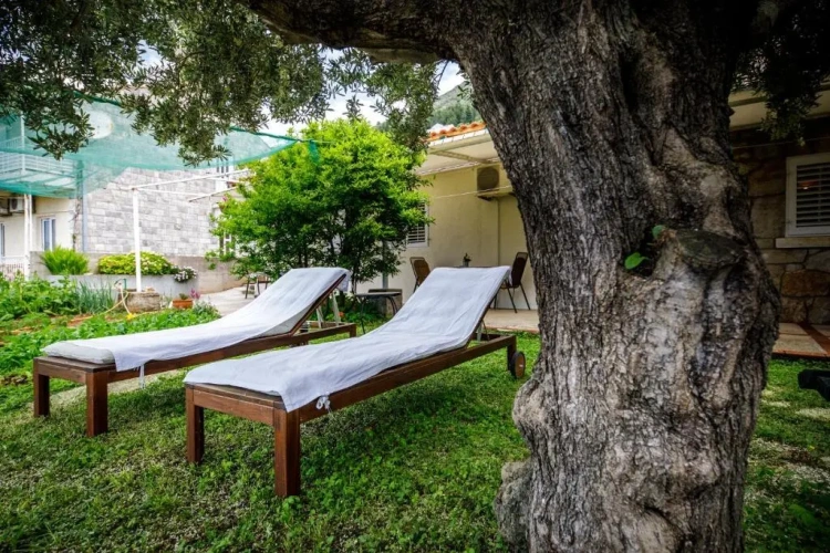 Standard Double room with garden view