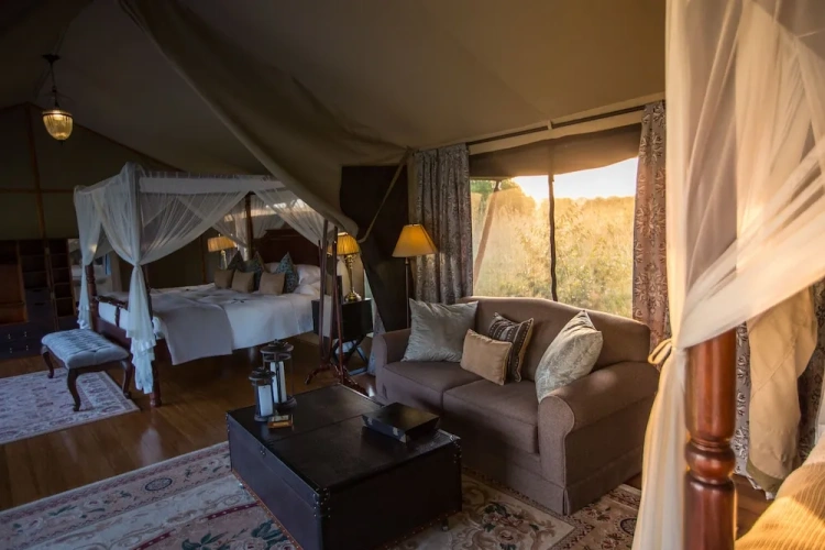 Family Tent