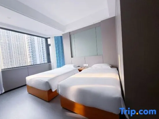 Standard Twin room with city view
