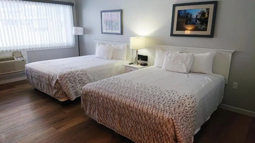 Standard Double room with pool view