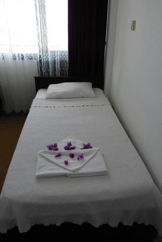 Standard Double room with balcony and with view
