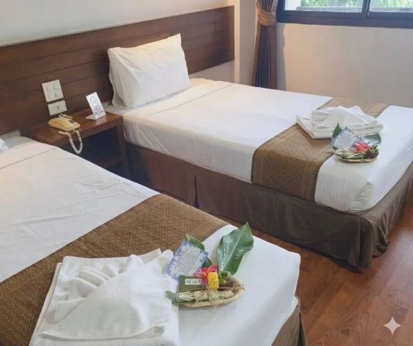 Deluxe Twin room