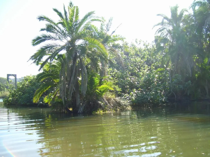 Hibberdene Hideout
