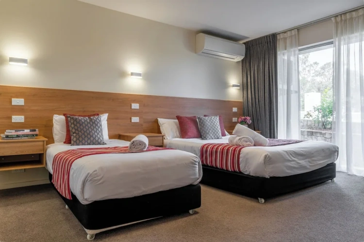 Luxury Twin room with mountain view