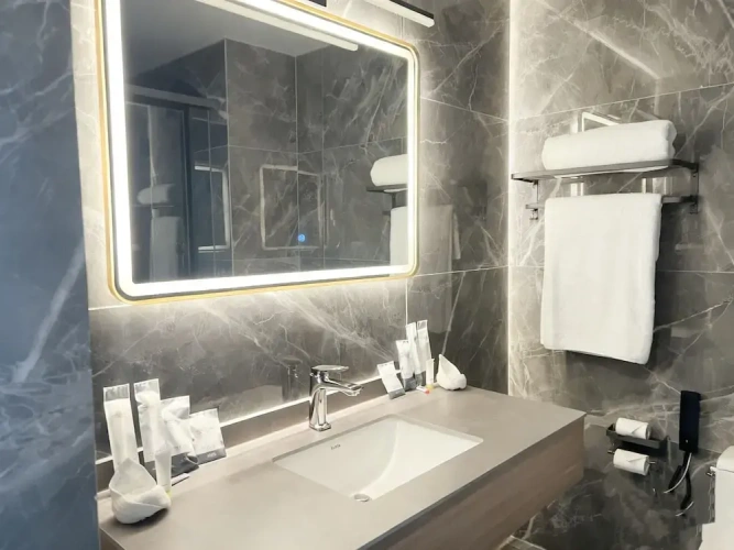 Deluxe Single room with balcony and with city view