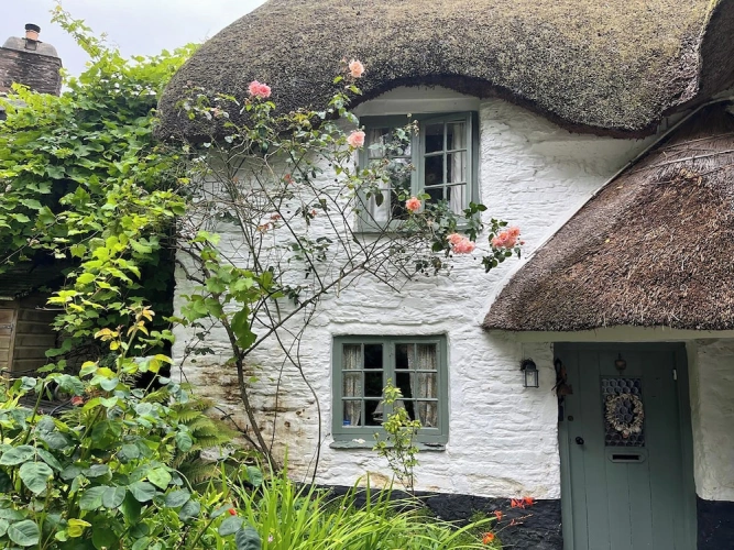 Cottage