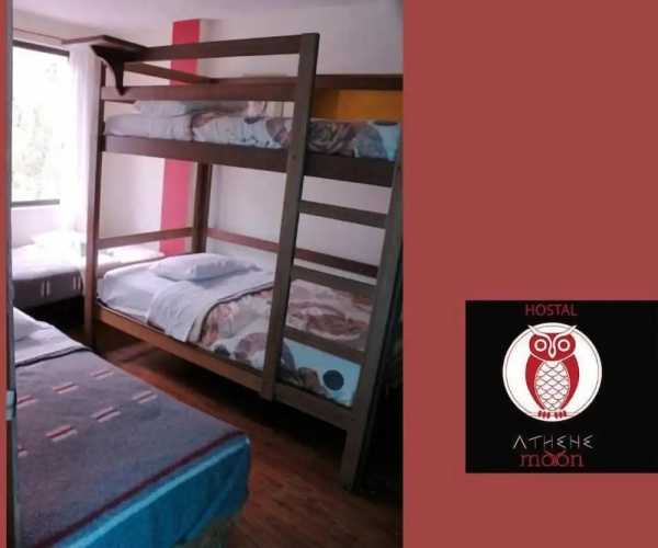 Hostal Athene Moon - Hostel