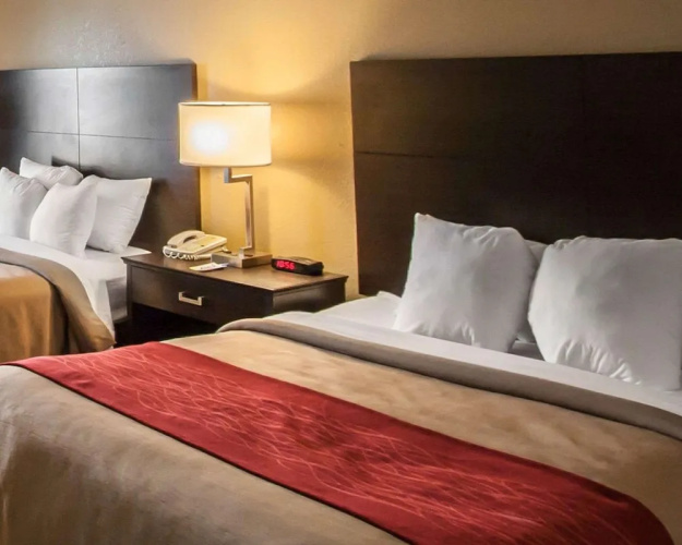 Comfort Inn Hayti