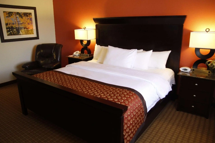 1 Bedroom Double Suite