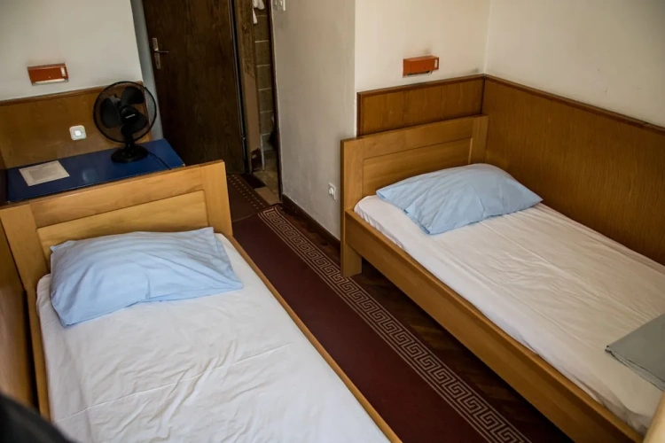 Standard Twin room with garden view