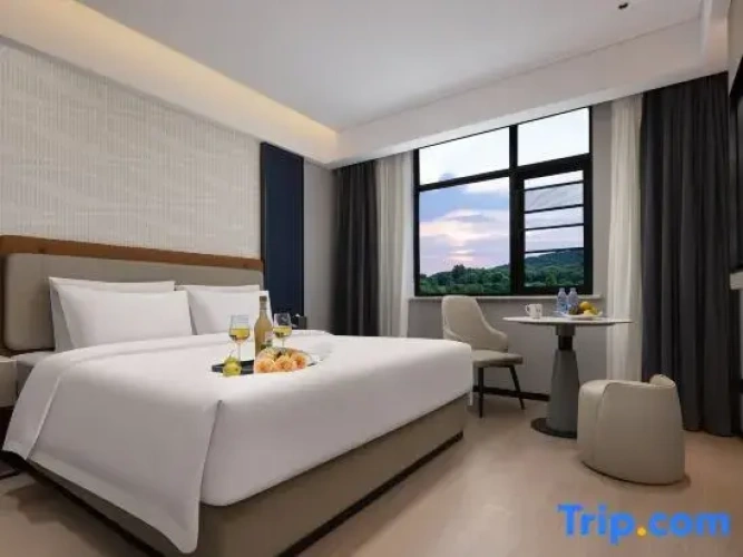 1 Bedroom Suite
