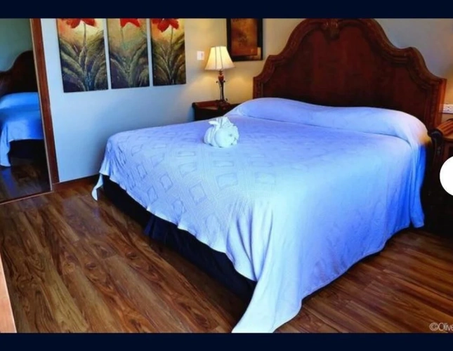 Standard Double room with ocean view