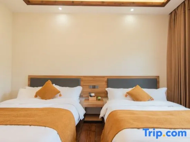 Standard Twin room with view