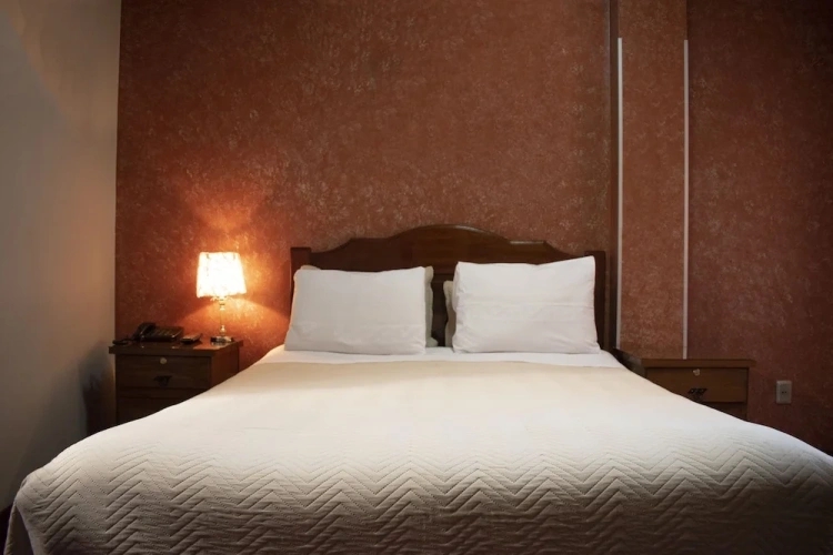 1 Bedroom Standard Double room