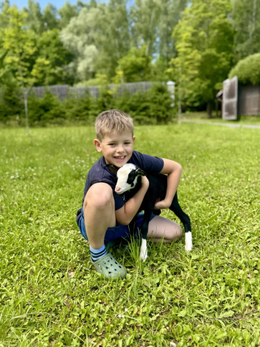 Фотография номера гостевого дома Дом на Лесной Опушке
