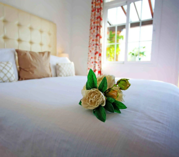 Hotel Casa Rosa