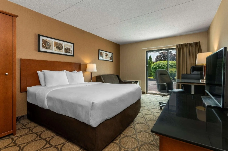 Standard Double Basement room