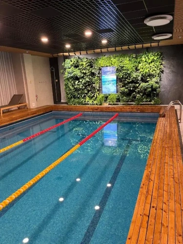 Studio