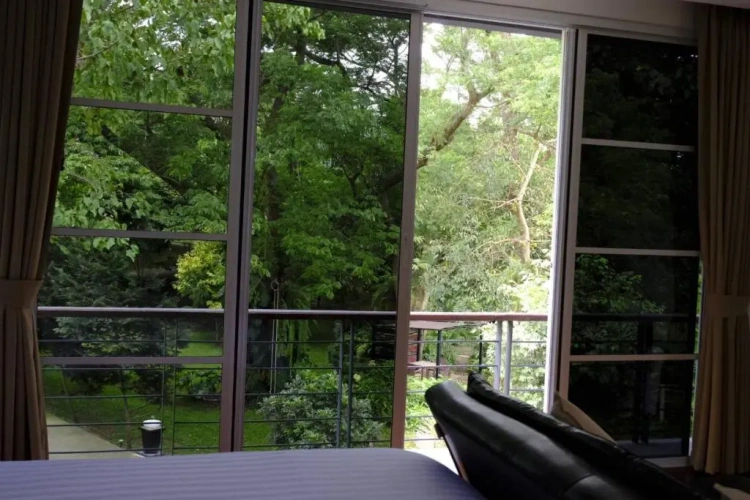Standard Double room with garden view