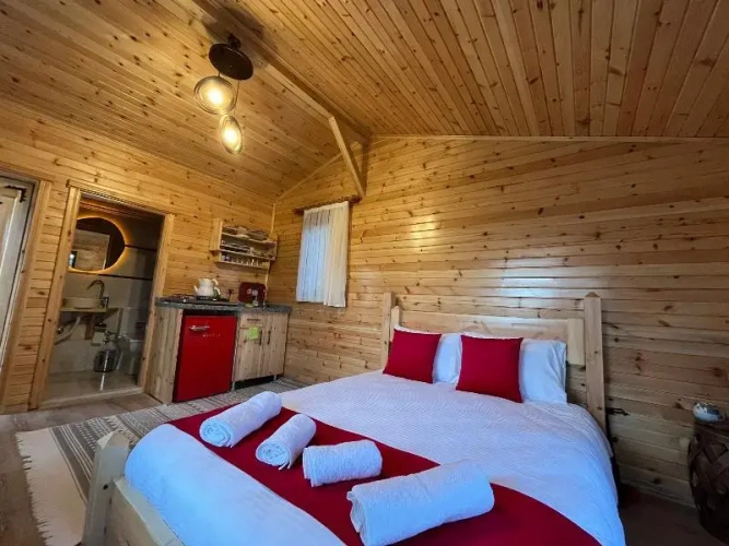 Classic room