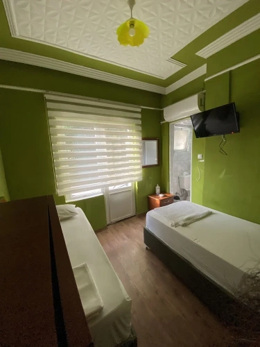 Standard Twin room with balcony and with garden view