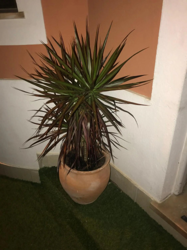 Sun Place Guest House