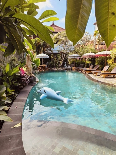 Superior Double room with pool view