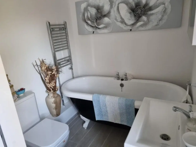 Standard Double room with lake view