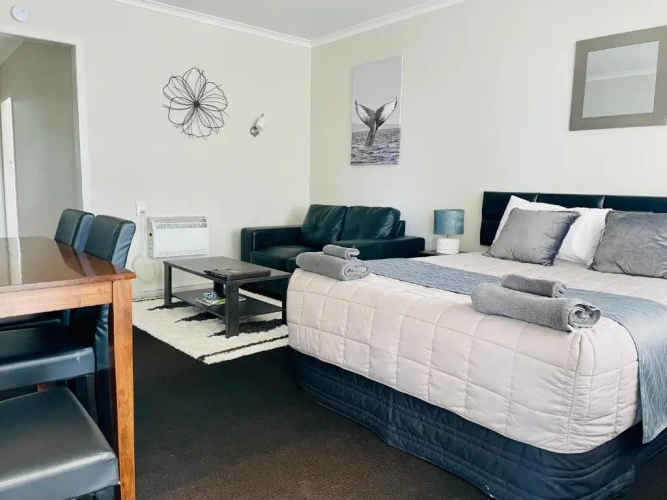 1 Bedroom Suite