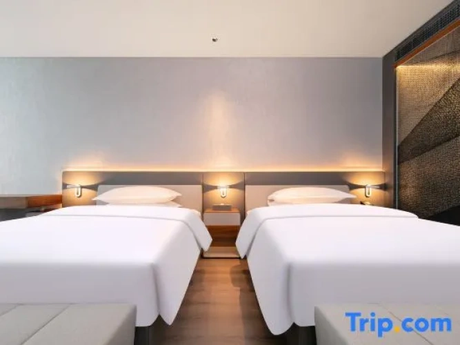 Standard Twin room with city view