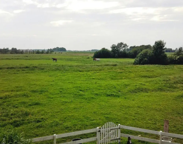 Ferienwohnung, Tonning
