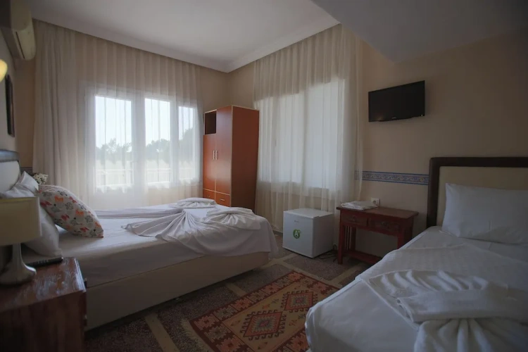 Standard Double room with balcony and with view