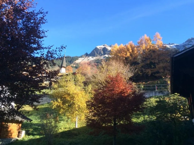 Chalet