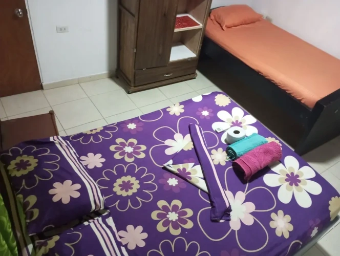 1 Bedroom Economy Double room with garden view