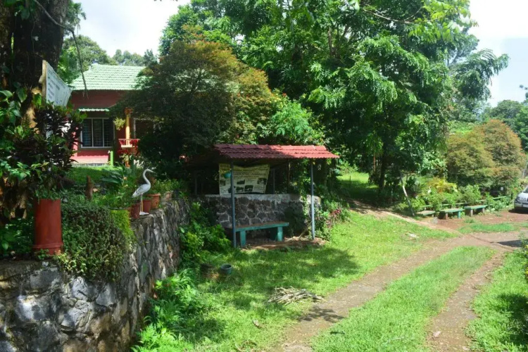 The mountain Resort