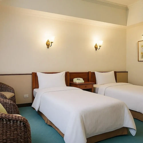 1 Bedroom Standard Twin room