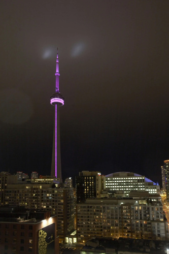 Hyatt Regency Toronto photo 17