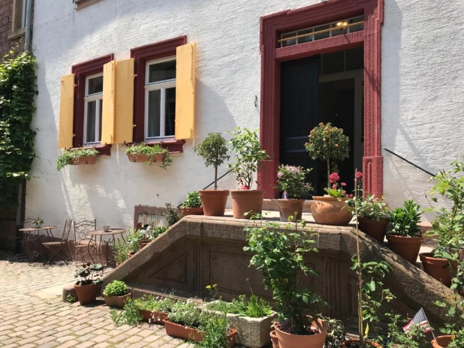 1 Bedroom Basement Apartment