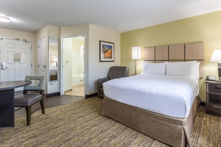 1 Bedroom Double Suite