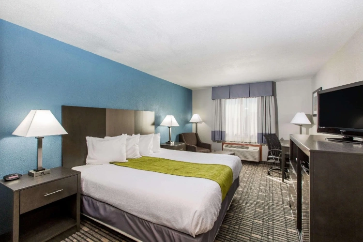 Standard Double room
