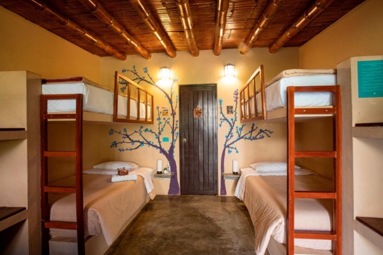 Standard Quadruple room with garden view