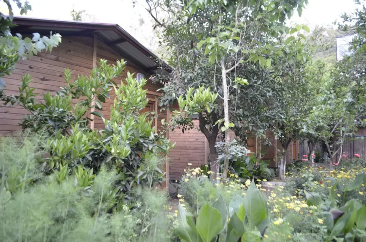 Olympos Mercan Bungalow