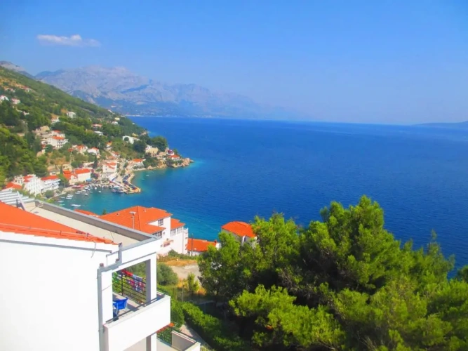1 Bedroom Superior Apartment with sea view