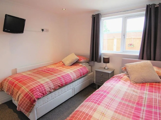 Lilys Pad