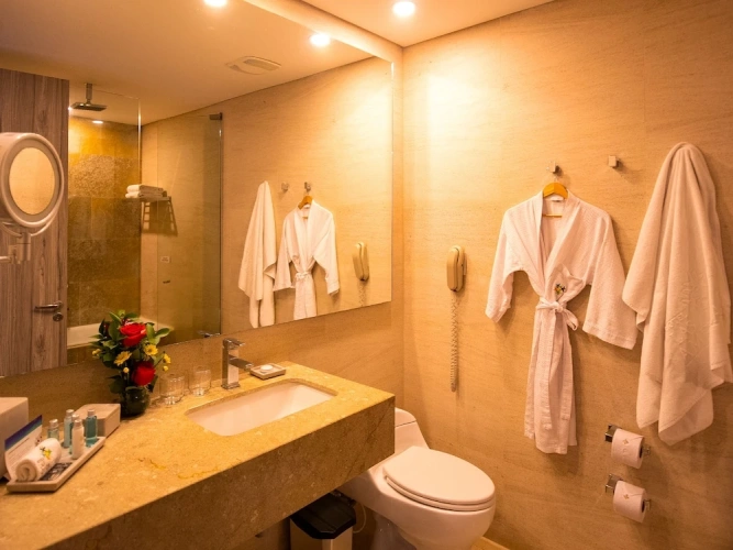 Superior Double room