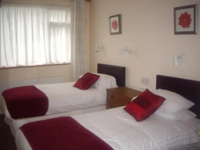 Standard Twin room