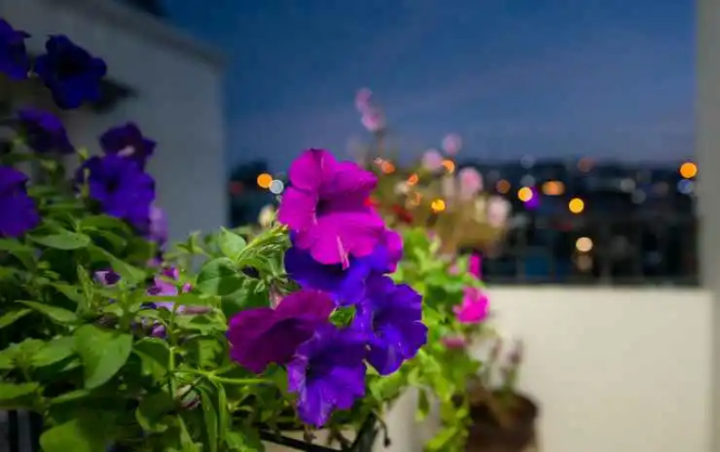 Bianco Hotel Dalat
