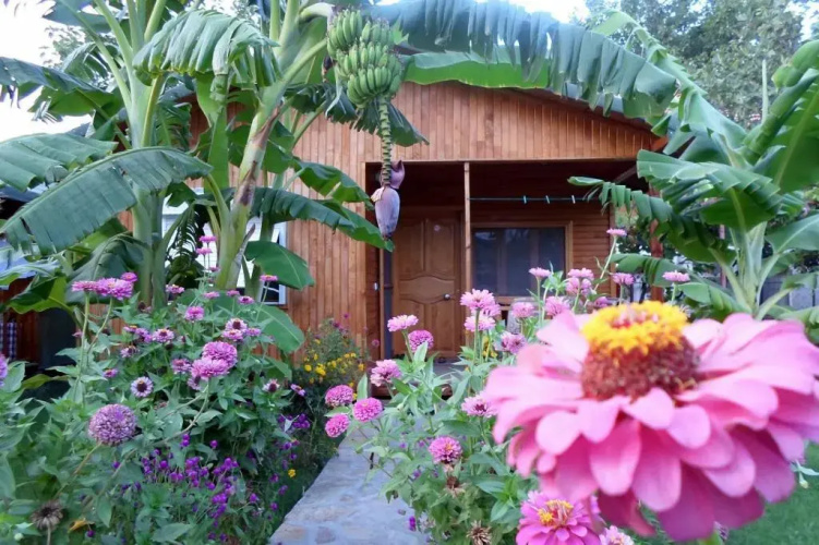Estelar Bungalows