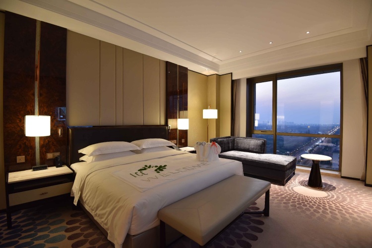 Executive Double Suite