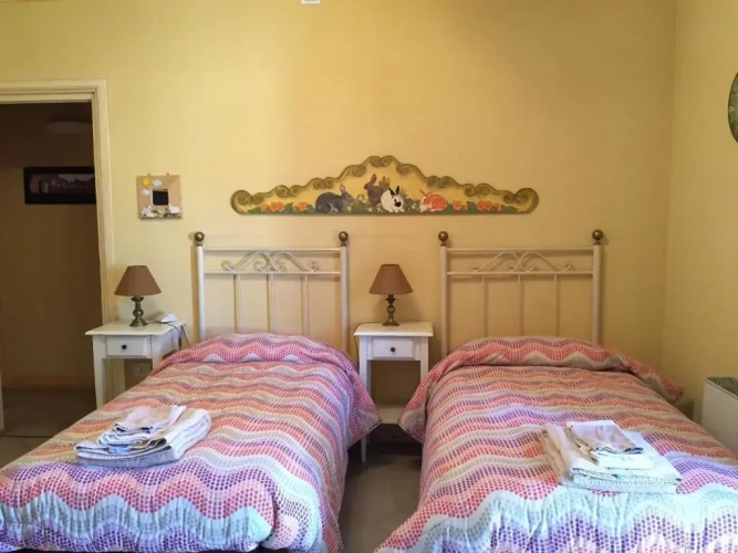 Standard Twin room